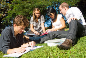 Four university students comparing their notes from college, sitting in the park on a beautiful day